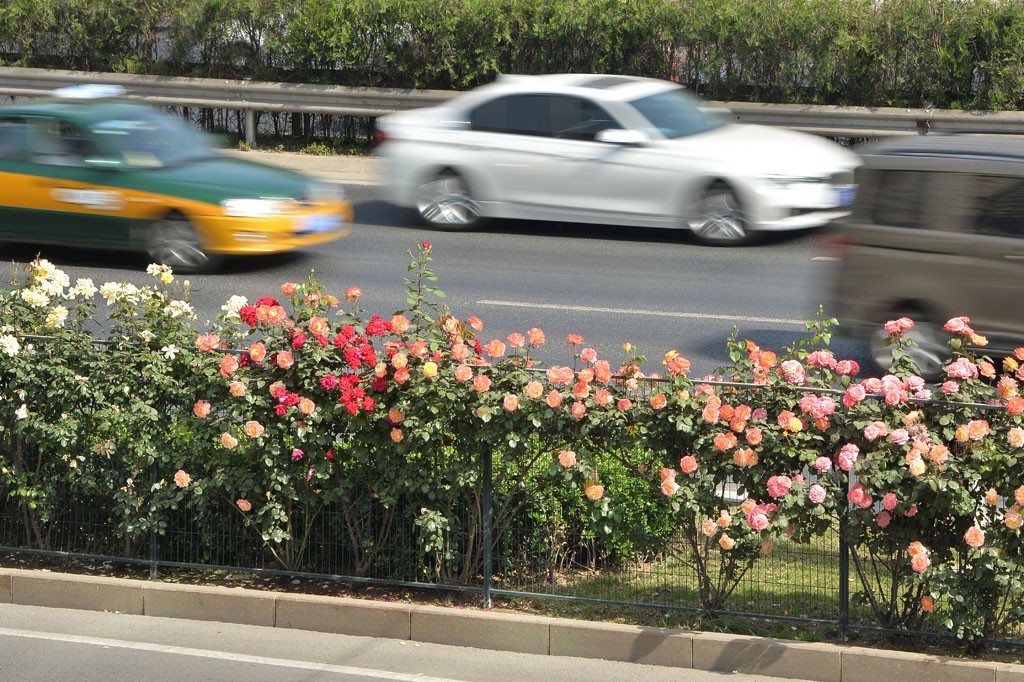 wI0ZaV_KKVSAJgKYAASWMiSUEk0257 wI0ZaV_KKVSAJgKYAASWMiSUEk0257