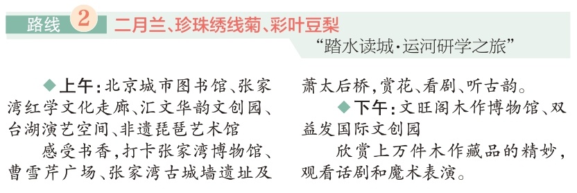 四條“賞花+”特色路線遊遍副中心 四條“賞花+”特色路線遊遍副中心