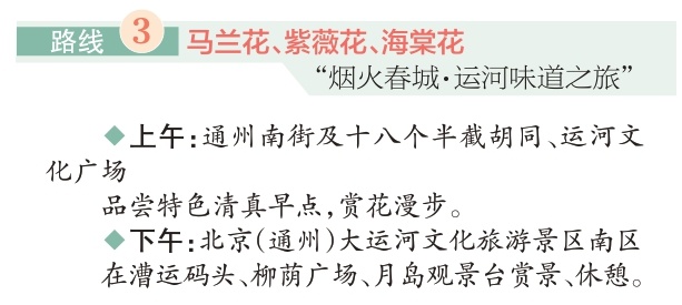 四條“賞花+”特色路線遊遍副中心 四條“賞花+”特色路線遊遍副中心