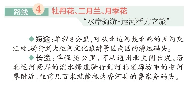 四條“賞花+”特色路線遊遍副中心 四條“賞花+”特色路線遊遍副中心