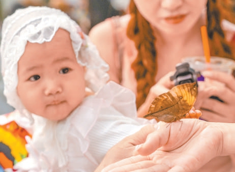 北京國際鮮花港巨型立體花壇亮相 10萬平方米花海“含菊量”增142% 北京國際鮮花港巨型立體花壇亮相 10萬平方米花海“含菊量”增142%