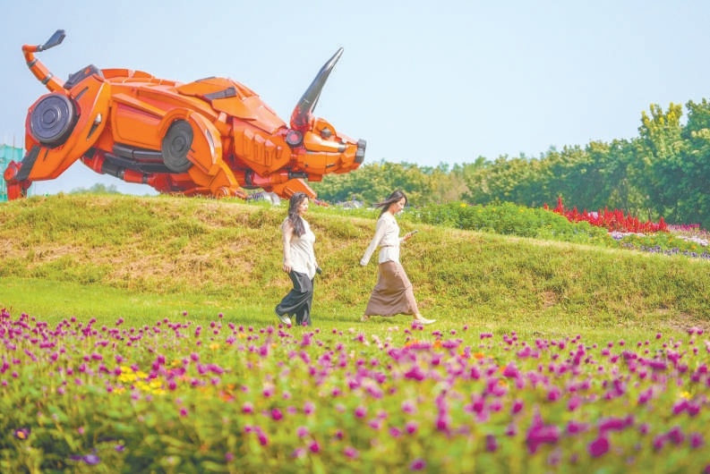 北京國際鮮花港巨型立體花壇亮相 10萬平方米花海“含菊量”增142% 北京國際鮮花港巨型立體花壇亮相 10萬平方米花海“含菊量”增142%
