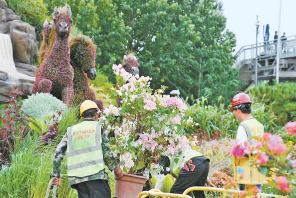 東單路口立體花壇正在進行要素調整和植物更換。 東單路口立體花壇正在進行要素調整和植物更換。