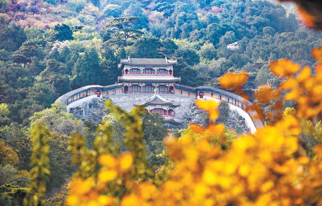 目前,香山彩葉變色率已到60%,層層疊疊,色彩斑斕。 目前,香山彩葉變色率已到60%,層層疊疊,色彩斑斕。