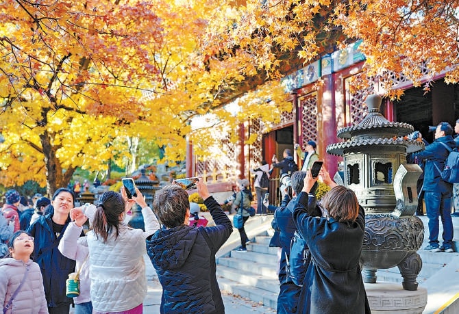 11月2日,眾多遊人赴香山賞秋,彩葉與古建相映成趣,移步之間,光影變幻不斷,園內處處成畫,美不勝收。 11月2日,眾多遊人赴香山賞秋,彩葉與古建相映成趣,移步之間,光影變幻不斷,園內處處成畫,美不勝收。