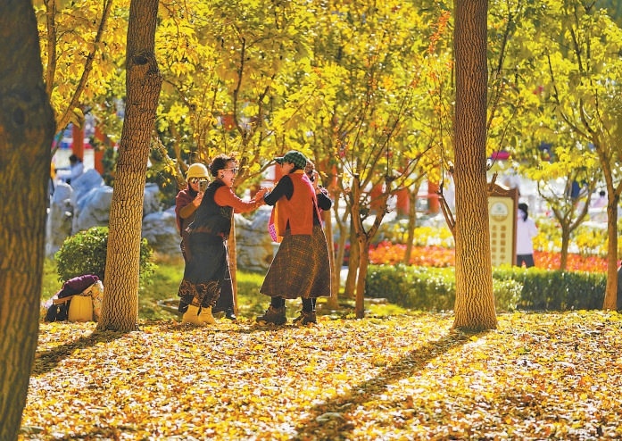 立冬過後,北京西海子公園並未褪去秋的斑斕,“金色地毯”成為市民打卡熱點。 立冬過後,北京西海子公園並未褪去秋的斑斕,“金色地毯”成為市民打卡熱點。