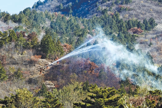 11月11日,十三陵林場演練森林防滅火。 11月11日,十三陵林場演練森林防滅火。
