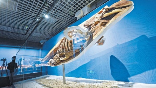 2025-11-26_171845 2025-11-26_171845