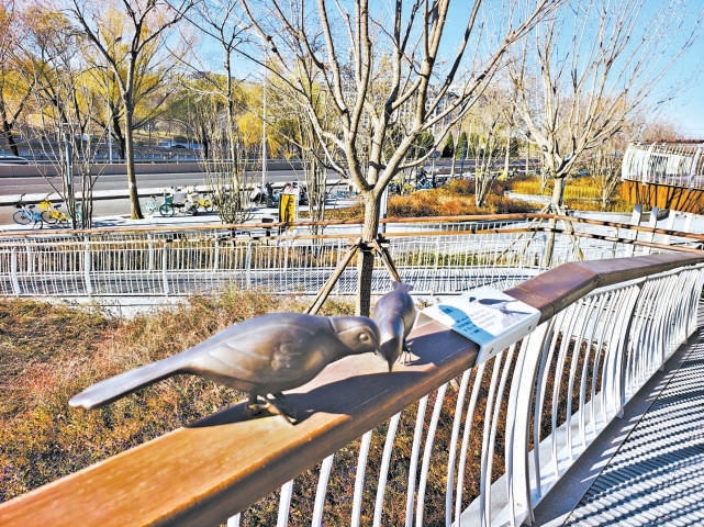 綠色廊道扶手上的“銅雀”裝置很吸睛。 綠色廊道扶手上的“銅雀”裝置很吸睛。