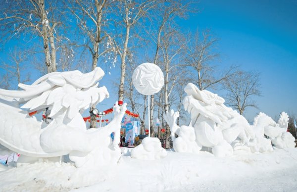 W020260109308760478720_600 W020260109308760478720_600