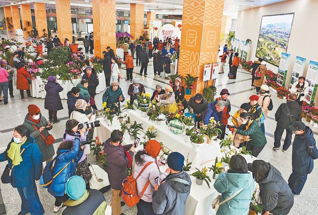 北京市政務服務中心舉辦的蘭花展,吸引大批市民前來賞花打卡。 北京市政務服務中心舉辦的蘭花展,吸引大批市民前來賞花打卡。