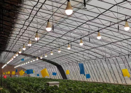 2025121114503913071 2025121114503913071