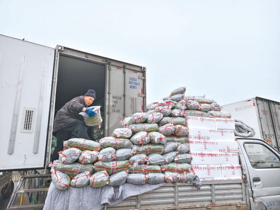 在新發地市場南方蔬菜交易區，商戶正在裝卸豇豆。