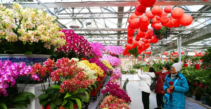 馬年春節怎麽玩?北京豐台給您準備了6條特色線路 馬年春節怎麽玩?北京豐台給您準備了6條特色線路