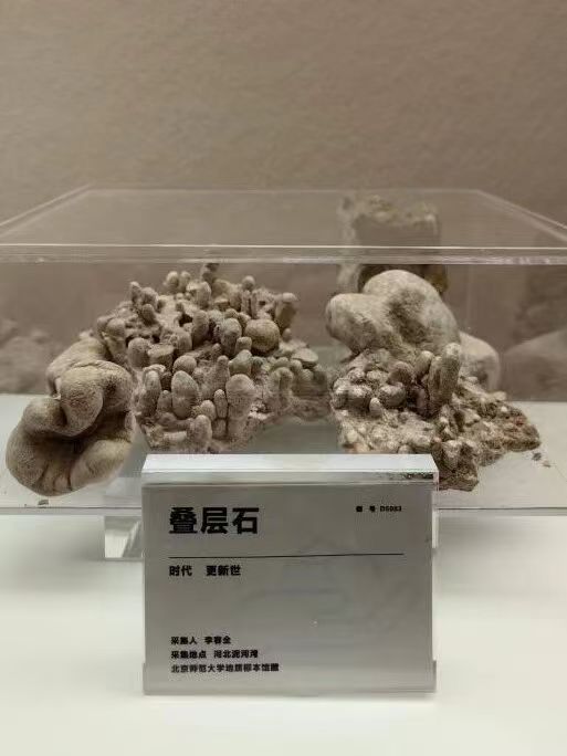北京高校陸續開學 一批高校博物館和展覽換新重張 北京高校陸續開學 一批高校博物館和展覽換新重張