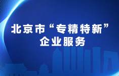 北京市“專精特新”企業服務