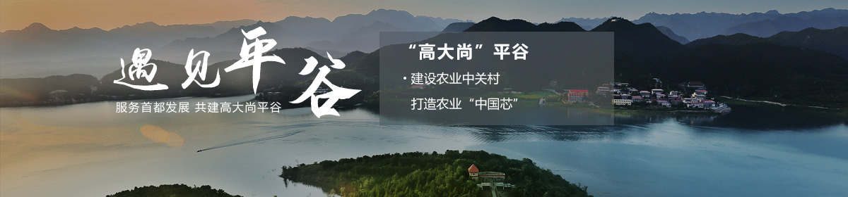 投資北京會客廳-SEO