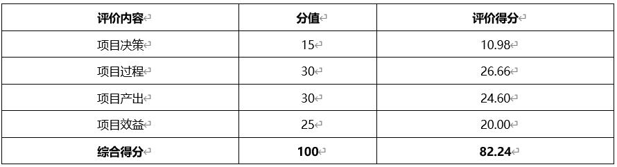 網絡運維服務支出績效評價結論表 網絡運維服務支出績效評價結論表