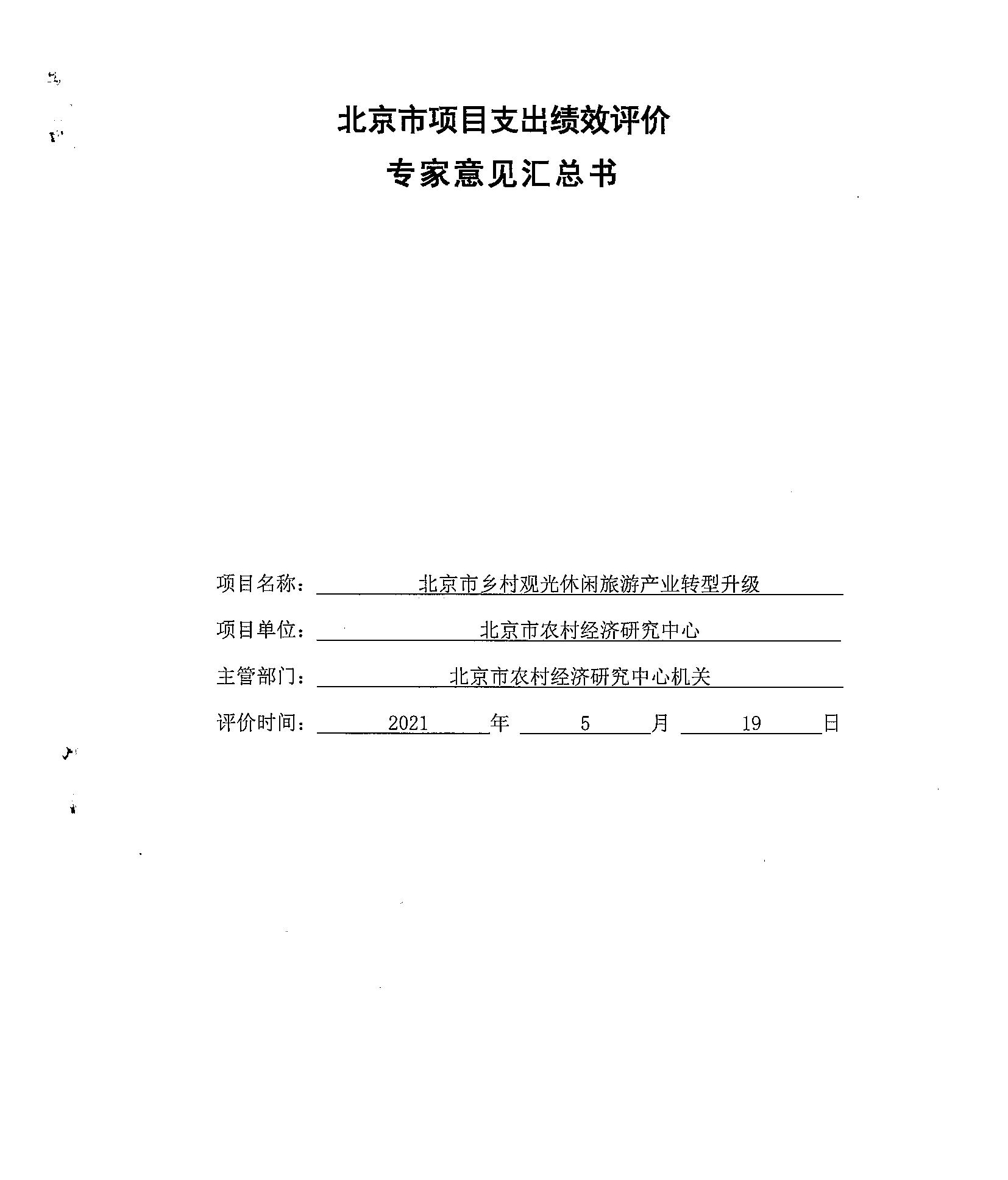 專家意見匯總書 專家意見匯總書