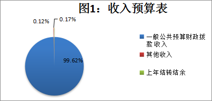 圖1:收入預算表 圖1:收入預算表