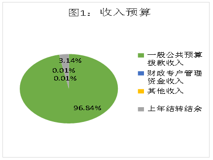 圖1:收入預算 圖1:收入預算
