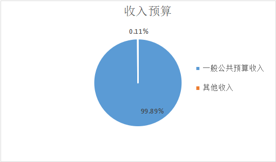 圖1:收入預算 圖1:收入預算