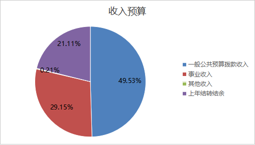 圖1:收入預算 圖1:收入預算