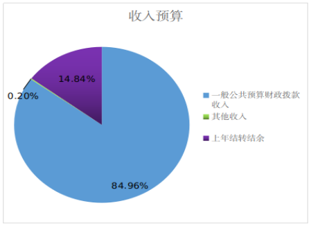 圖1:收入預算 圖1:收入預算