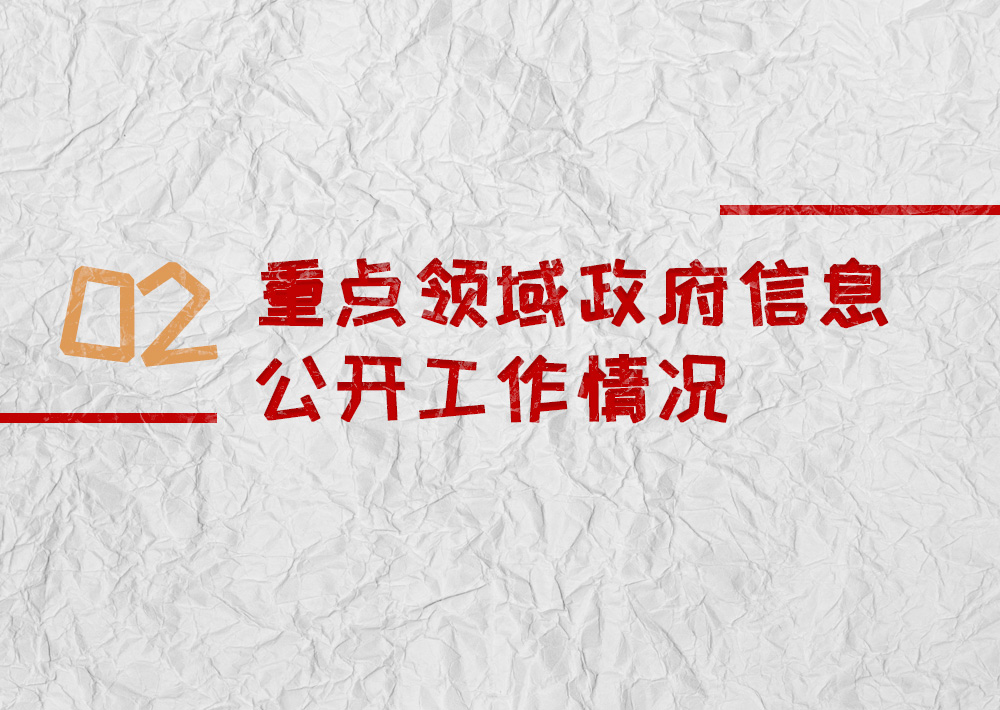 重點領域政府信息公開工作情況