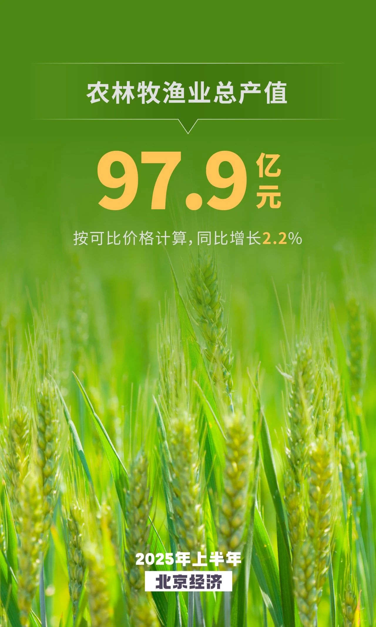 農業生產保持增長 鄉村旅遊升溫向好 農業生產保持增長 鄉村旅遊升溫向好