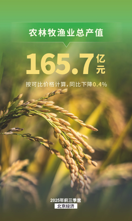 農業生產保持穩定，種業收入兩位數增長