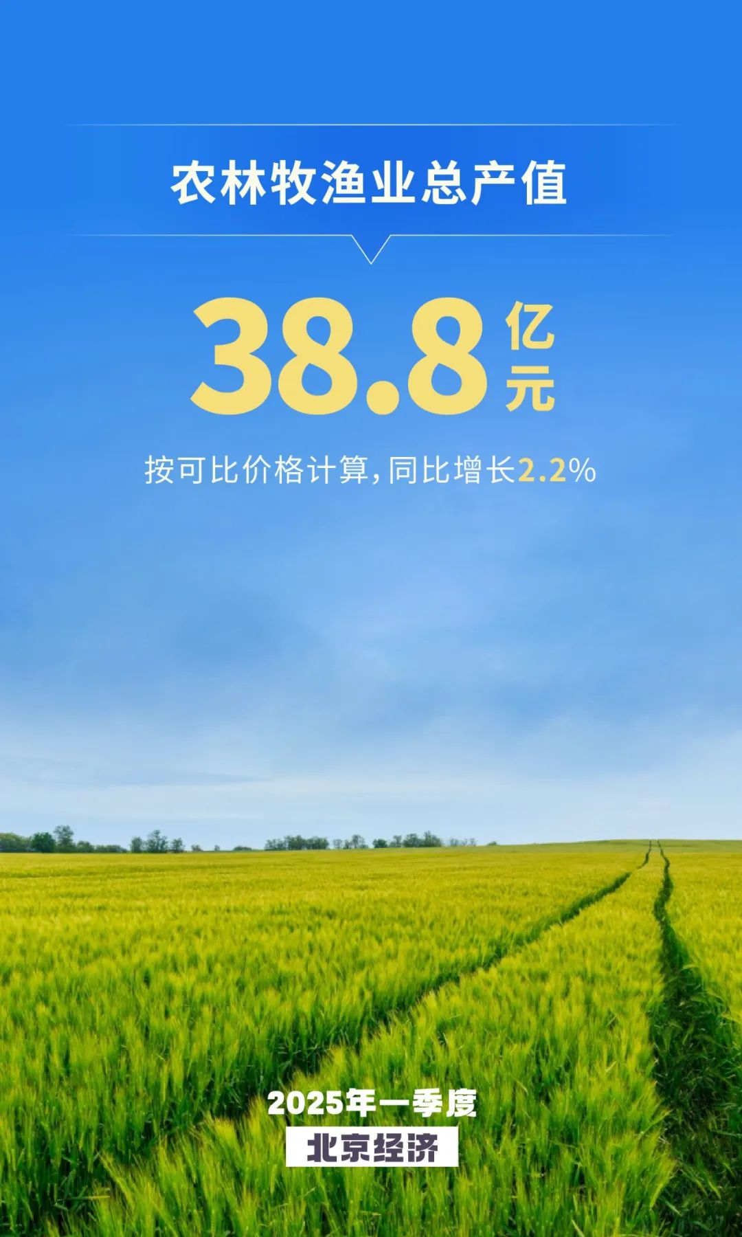 農業生產規模繼續擴大 種植業、牧業穩步增長 農業生產規模繼續擴大 種植業、牧業穩步增長