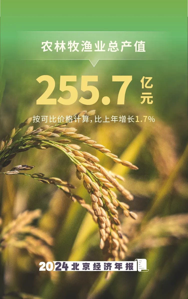數覽2024年北京經濟年報