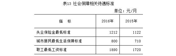 表13：社會保障相關待遇標準