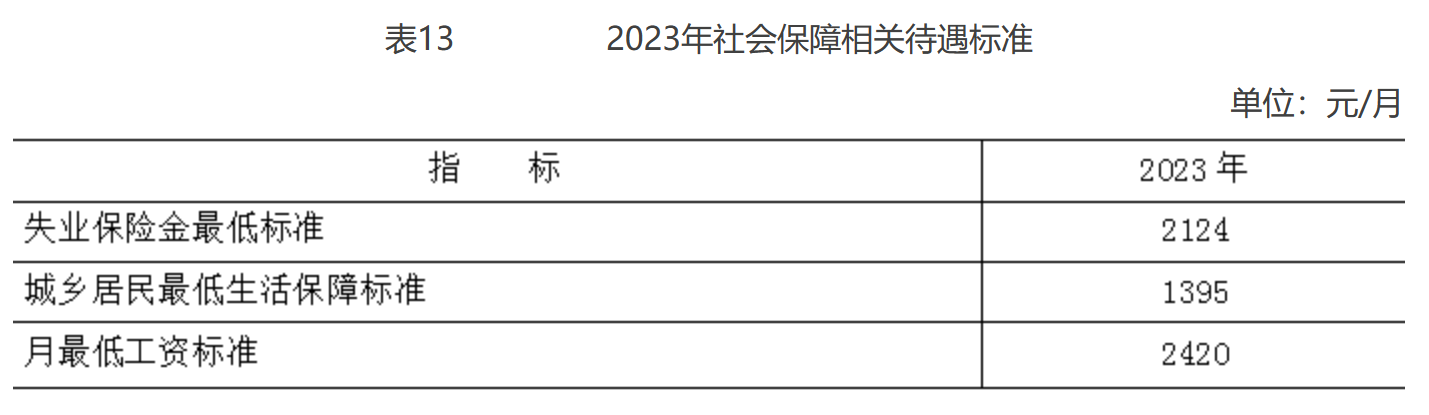 表13 2023年社會保障相關待遇標準
