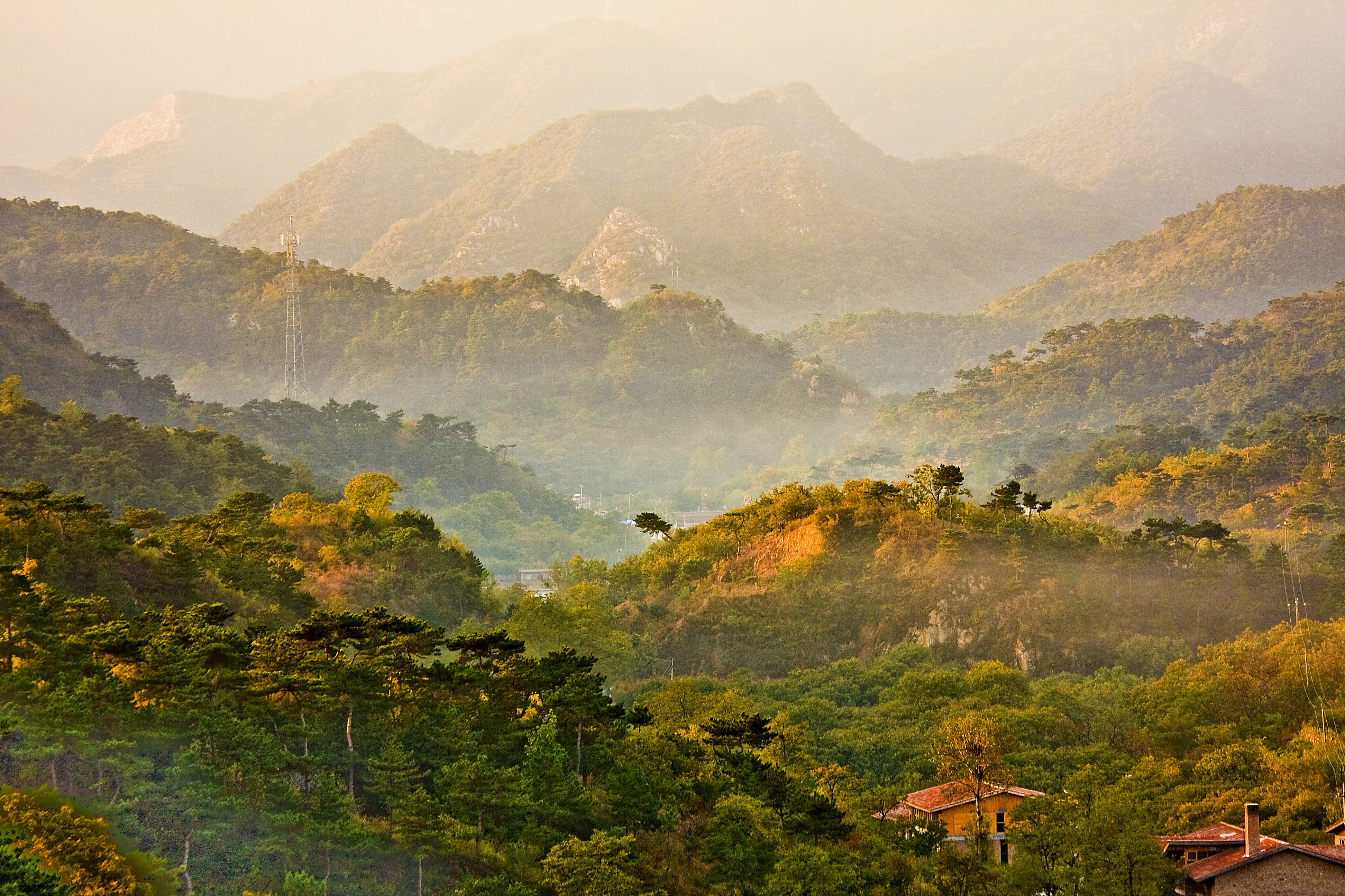 延壽鎮-層林盡染