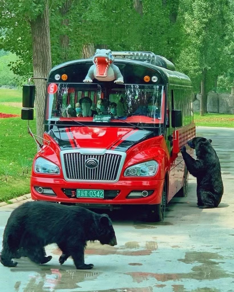 北京大興野生動物園
