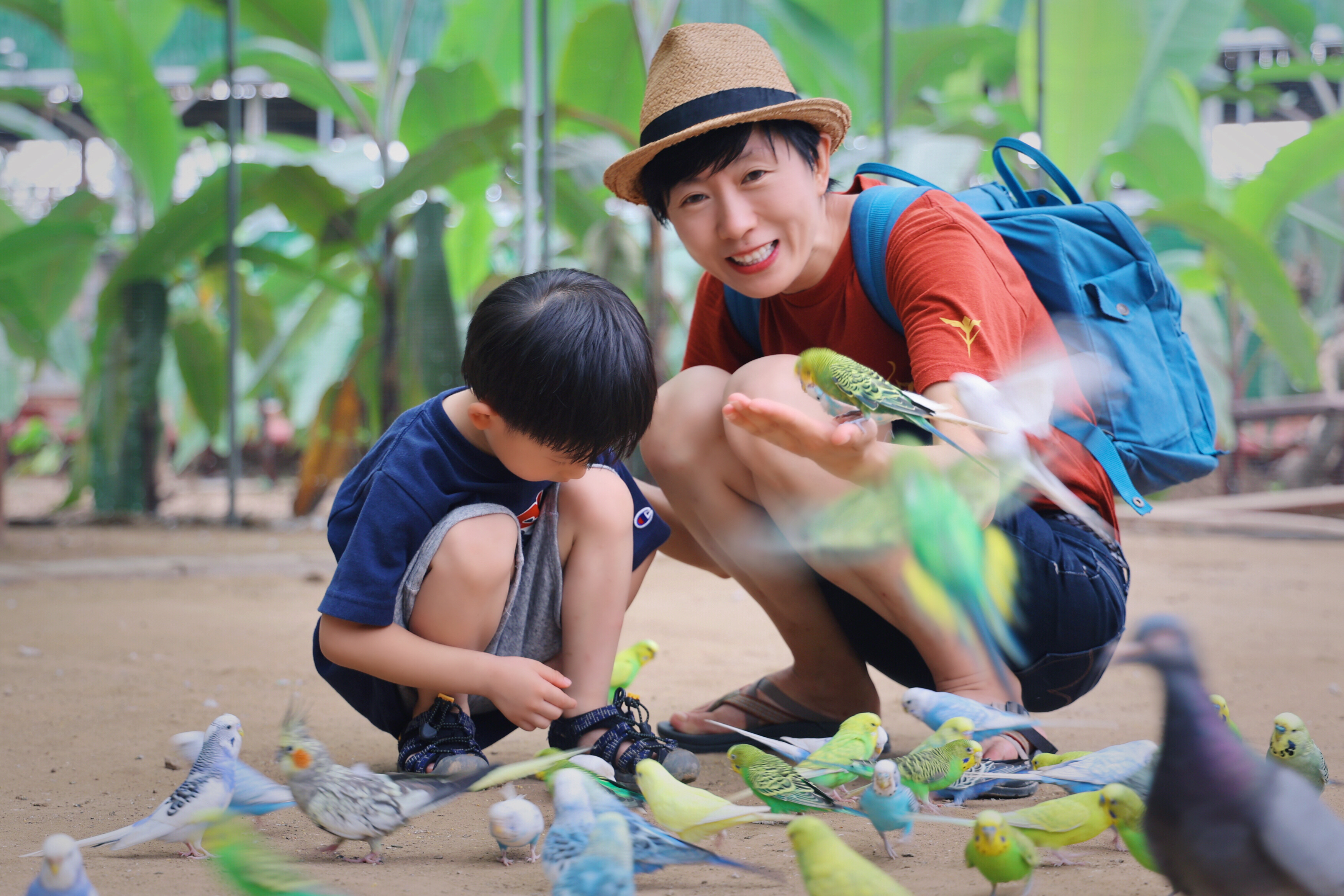 大興呀路古熱帶植物園