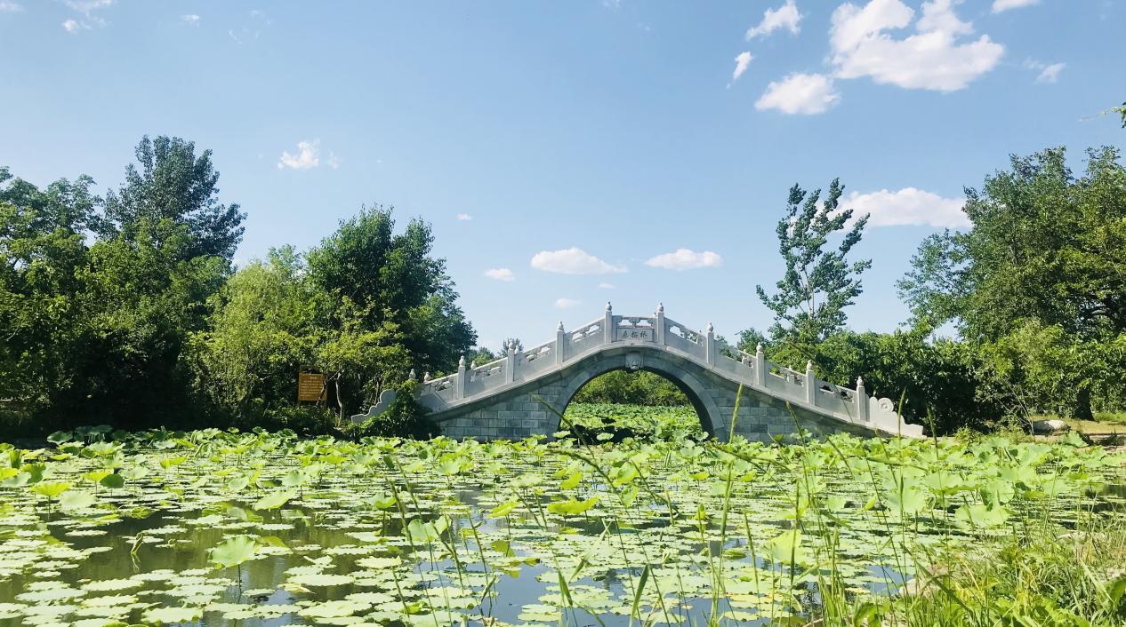 大興禦林古大桑園