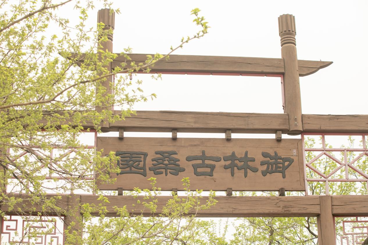 大興禦林古大桑園