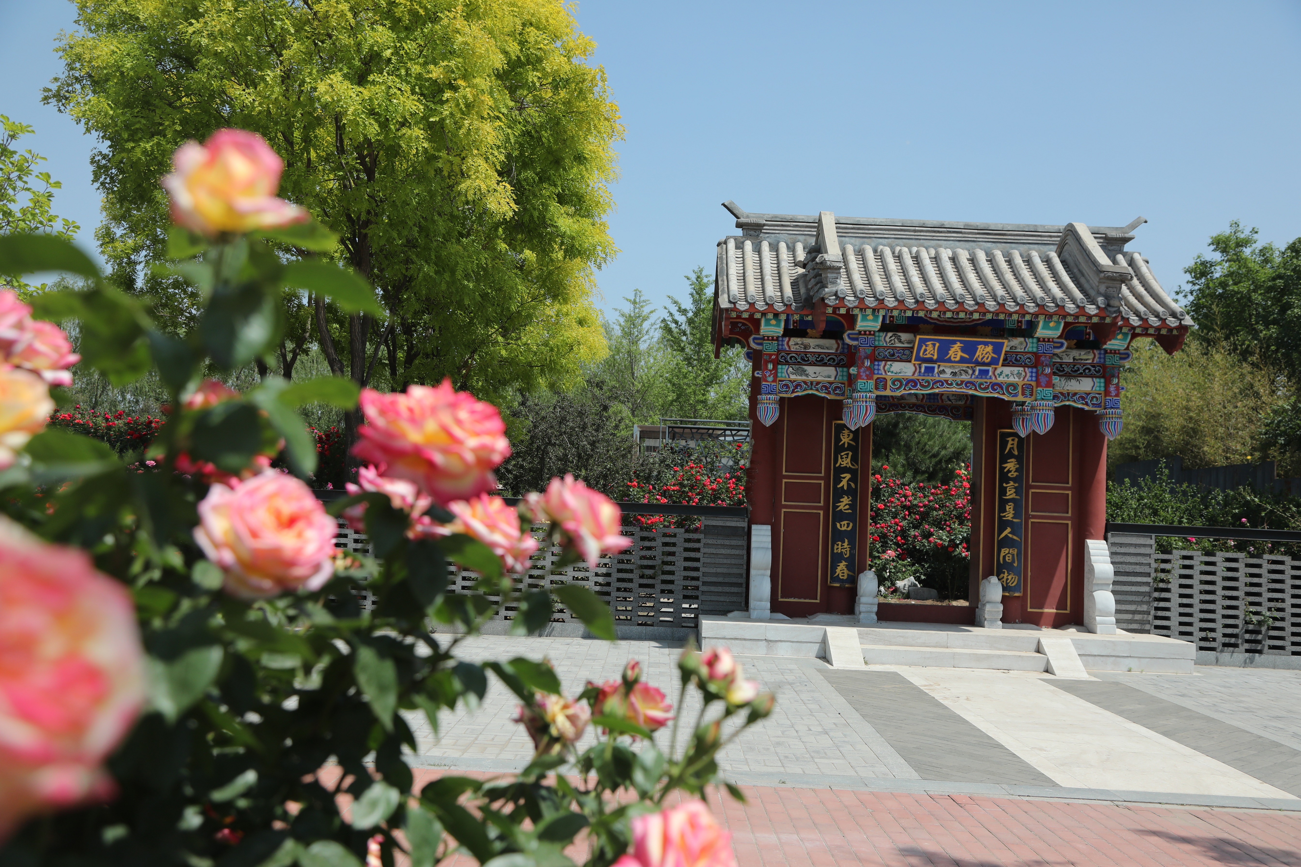 世界月季主題園