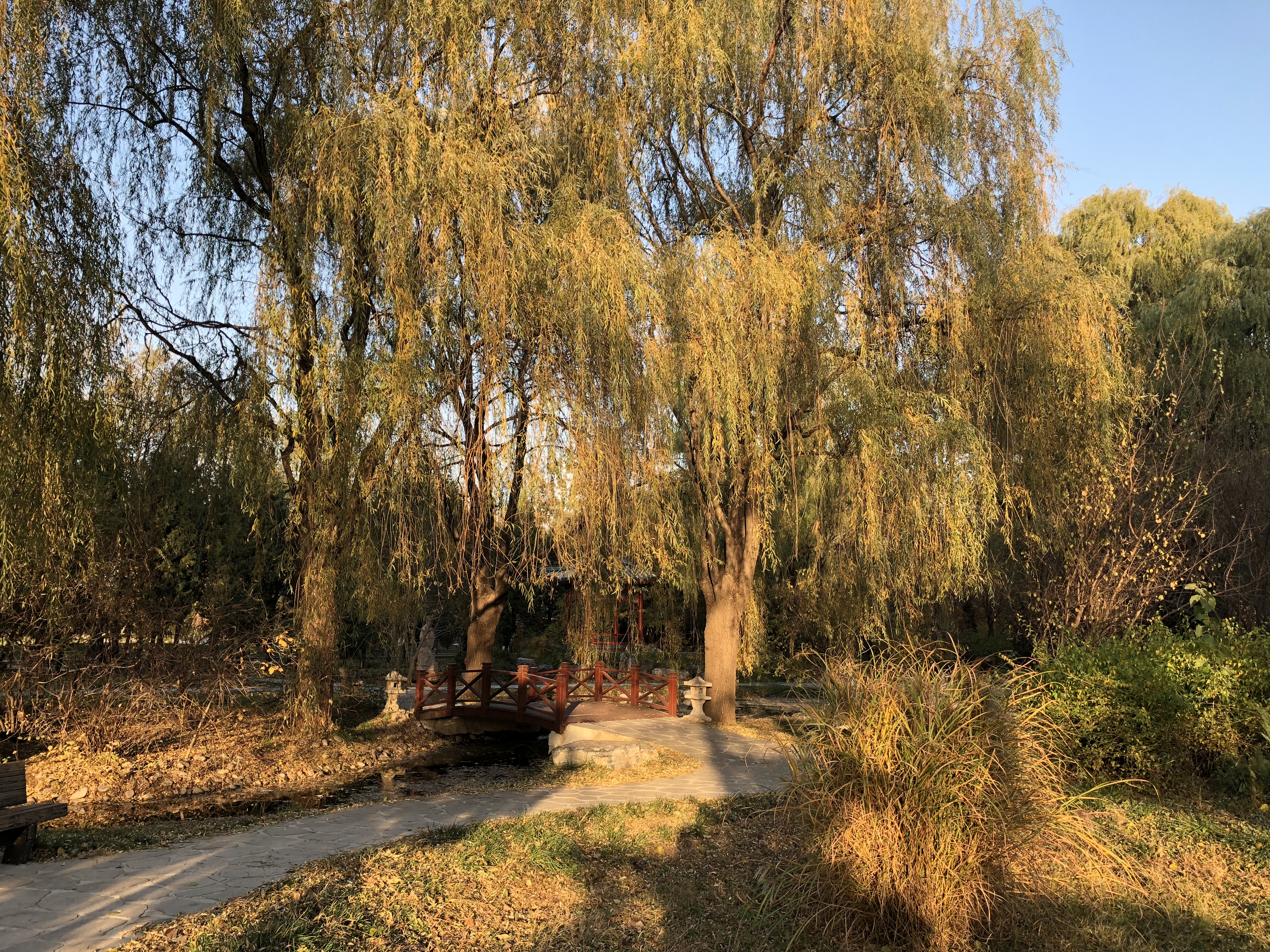 北京南海子麋鹿苑博物館