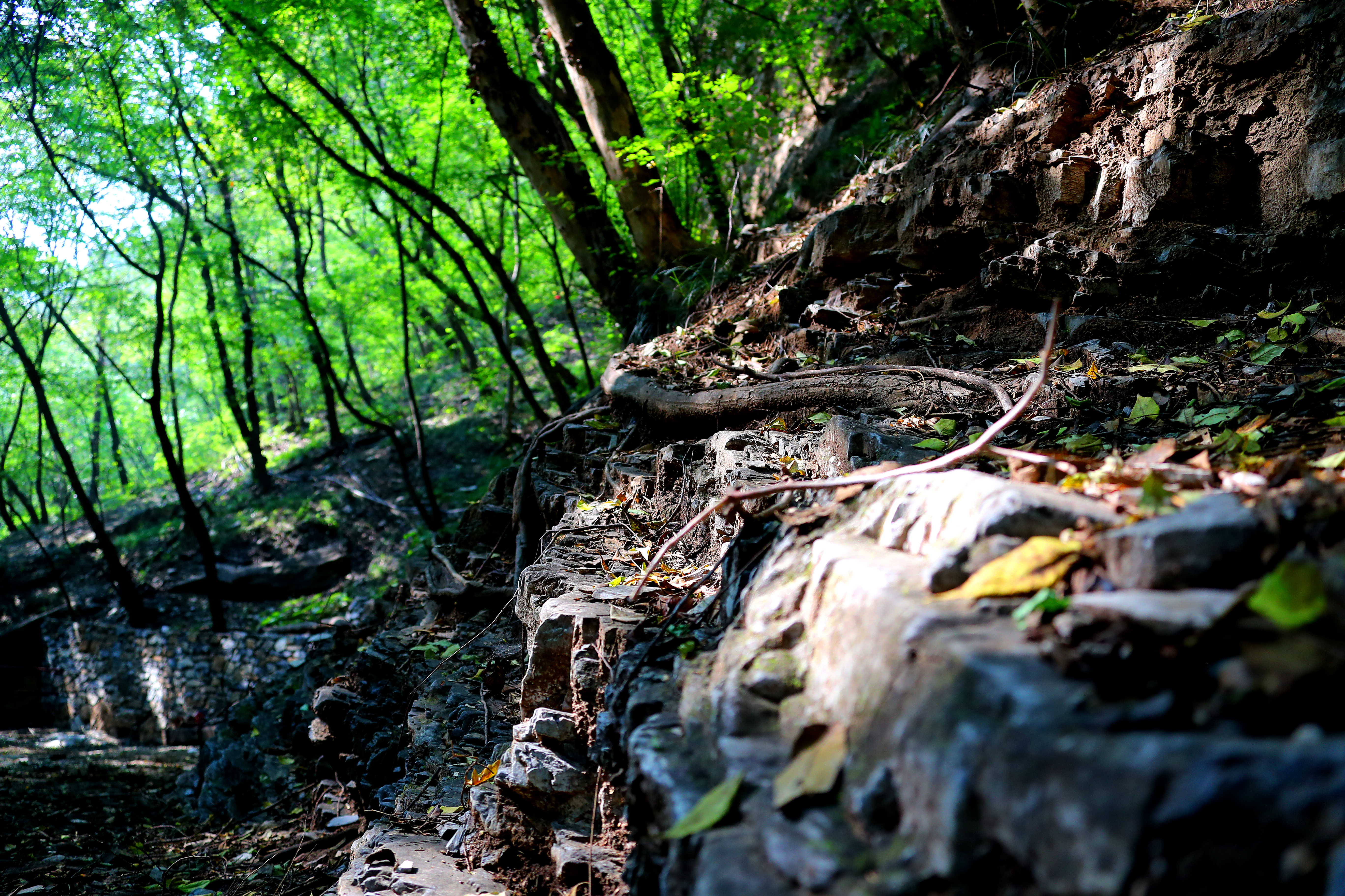 上方山國家森林公園