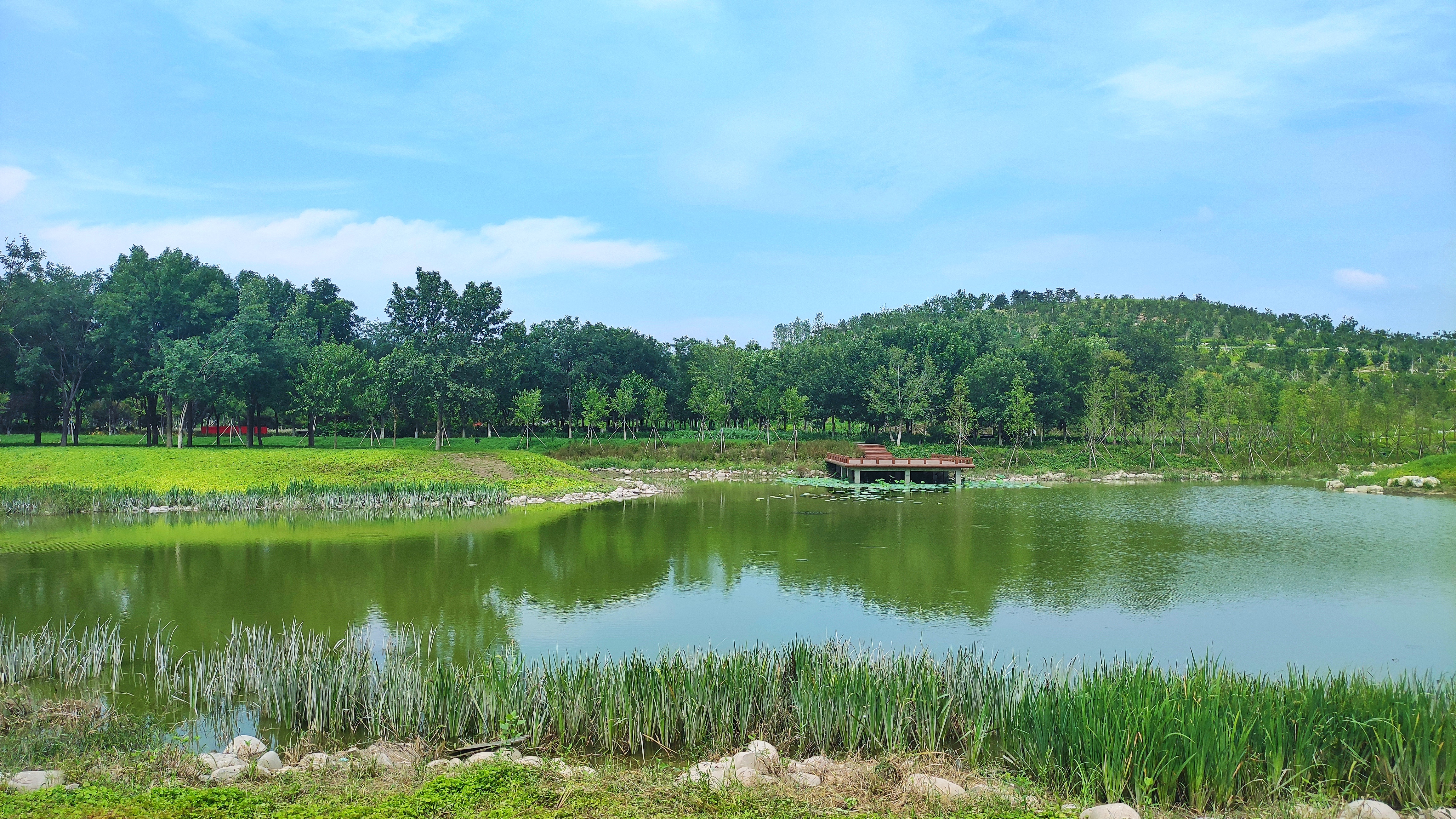 南苑森林濕地公園