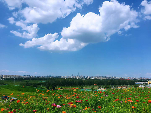 南苑森林濕地公園