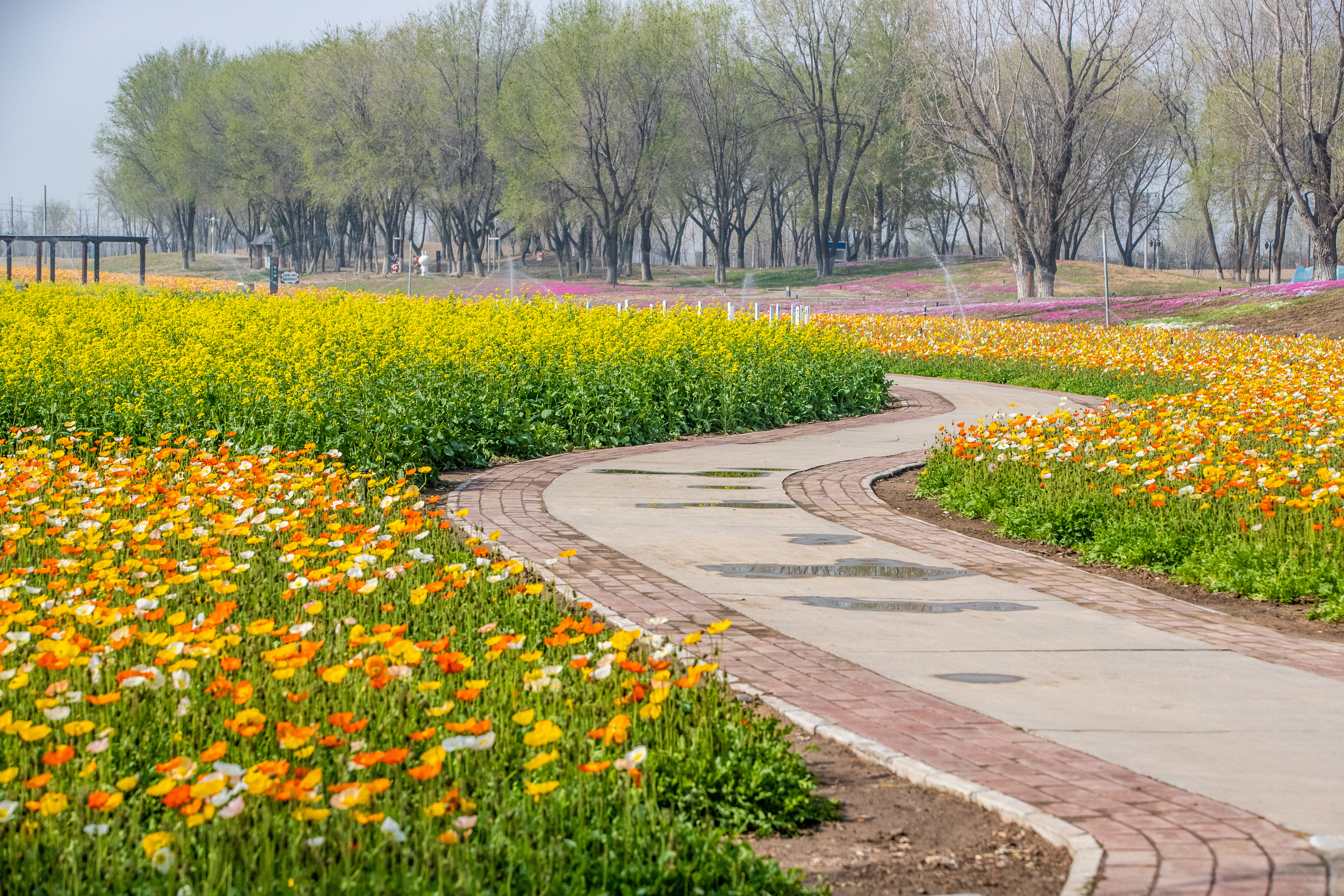 紫穀伊甸園 紫穀伊甸園
