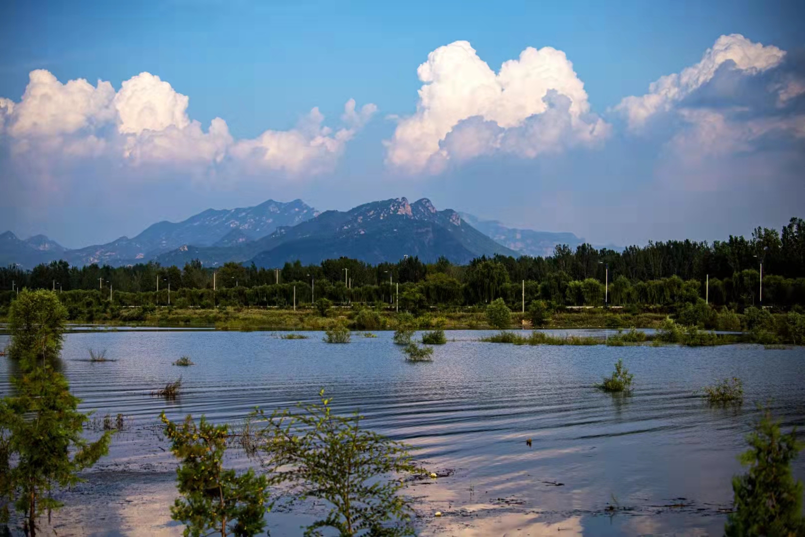 清水河畔風景美