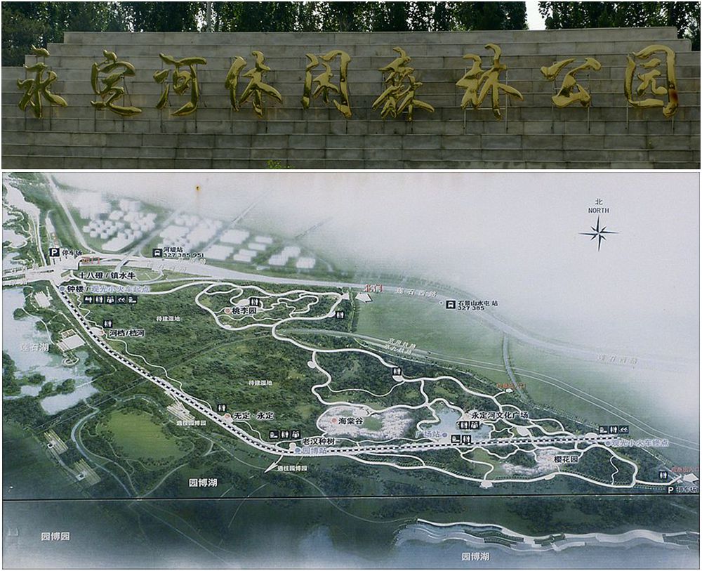 永定河休閑森林公園 永定河休閑森林公園