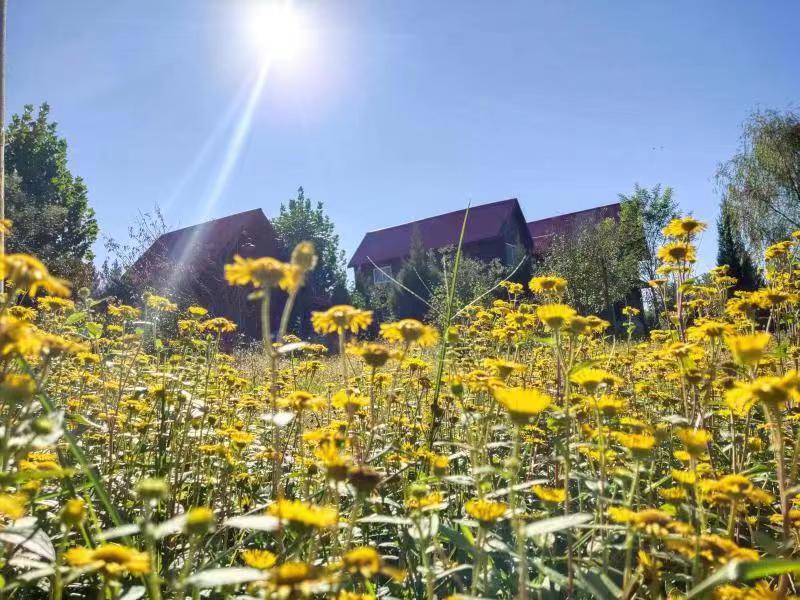 北京綠色度假村有限公司