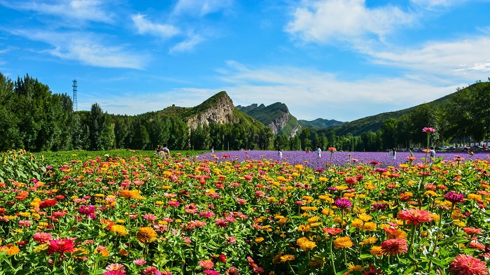 百裏山水畫廊 百裏山水畫廊